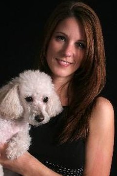 Smiling woman with her white poodle image by Allen Penton from Fotolia.com You have a variety of sizes and energy levels to choose from when picking a non-shedding dog.