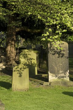 Scattering cremated ashes is a nice tribute to a loved one if done legally.
