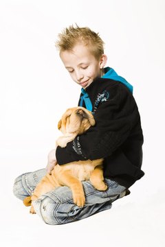 aforable sleeping puppy image by Frenk_Danielle Kaufmann from Fotolia.com Kids and puppies can be a good combination.