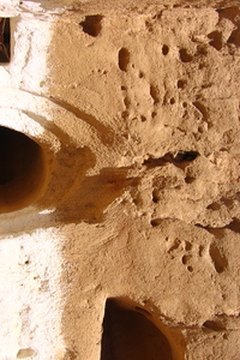 Noami urged Ruth to return home but Ruth remained loyal.