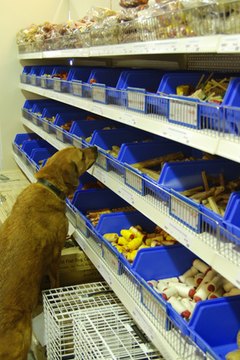 Which One Smells the Best? image by T^i^ from Fotolia.com If your dog craves a treat, make him a doggie cake.