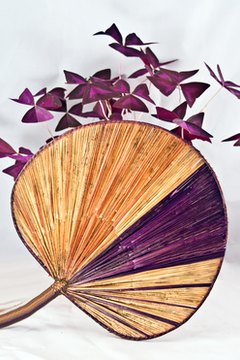 Uchiwa fans are flat and circular.