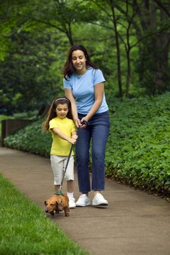 Thinkstock/Comstock/Getty Images "I will protect you from any other dogs or badgers we come upon."