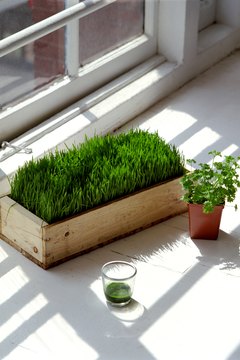 pocketsense article image