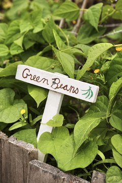 Jupiterimages/Comstock/Getty Images Community gardens are a great way to beautify a neighborhood, engage youth and support local foods.