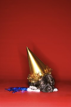Thinkstock/Comstock/Getty Images I am not amused.