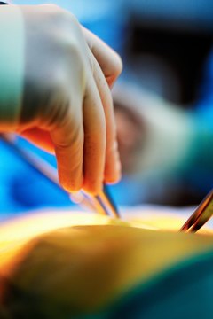 Aspiring heart surgeons should take undergraduate courses in the life, physical and computer sciences.