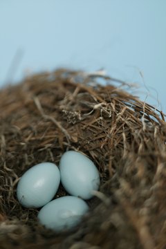 Comstock/Comstock/Getty Images Moving your nest egg from one account to another requires paperwork.