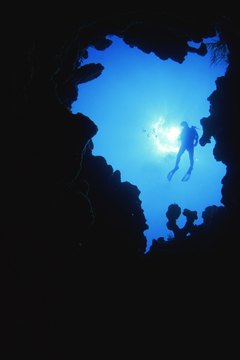 Comstock Images/Comstock/Getty Images Many fish spawn in caves.
