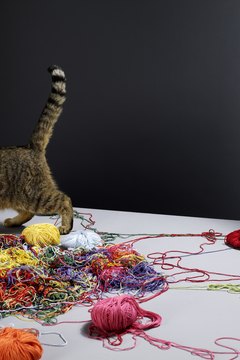Michael Blann/Lifesize/Getty Images Cats aren't perfect, but they don't deserve their bad rap.