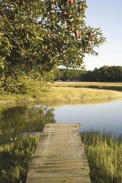 A quiet place can be anywhere that works for you.