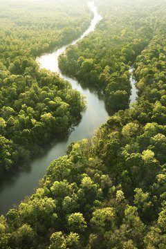 Animist beliefs focus on the natural world.