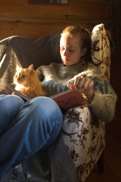 Jupiterimages/Comstock/Getty Images Some cats are smarter than others, regardless of their breed.