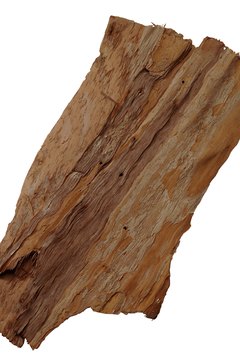 Brand X Pictures/Brand X Pictures/Getty Images Driftwood by itself might be as plain as a stick of wood. Add moss.