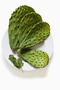Jack Hollingsworth/Photodisc/Getty Images Nopales deliver healthy nutrients.