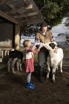Steve Baccon/Digital Vision/Getty Images Family life on a small-acreage farm can be a rewarding experience.