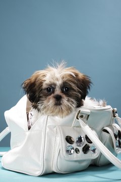Martin Poole/Digital Vision/Getty Images "I'm just not convinced white really works after Labor Day."