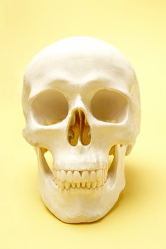 A facial sculptor helps law enforcement identify bodies.