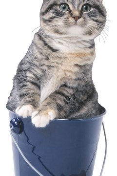 Hemera Technologies/PhotoObjects.net/Getty Images "That sodium bisulfate makes my food taste better."