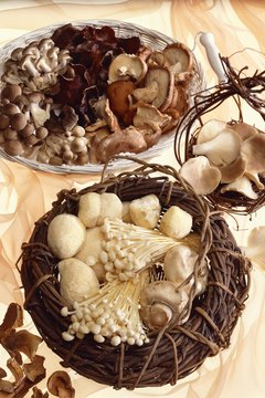 Jupiterimages/Comstock/Getty Images Mushrooms are edible fungi that provide potassium, B vitamins and antioxidants.