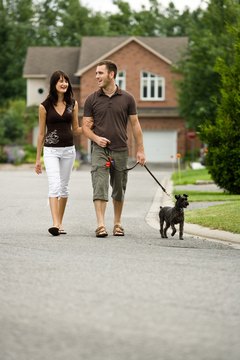 DailyPuppy article image