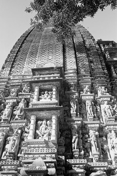 Jainist temple art depicts jinas, champions who are liberated from reincarnation.
