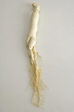 Blue Jean Images/Digital Vision/Getty Images American ginseng is a root that may provide health benefits.