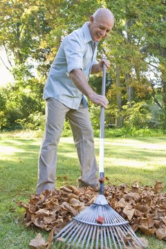 Jupiterimages/Pixland/Getty Images Recycling leaves into compost is recommended by the United States Environmental Protection Agency.