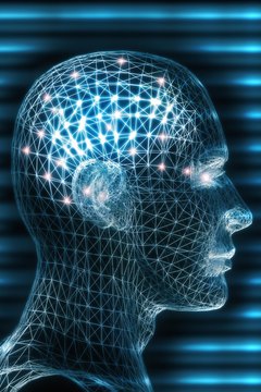 An undergraduate program in psychology varies depending on the degree and the institution.