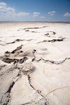 Seismology is the branch of geophysics that examines earth's natural phenomena.