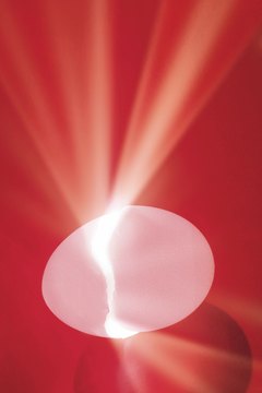Comstock/Comstock/Getty Images Cooked eggs are highly nutritious and can contribute to a shiny coat.