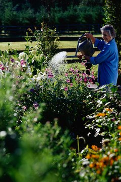 Ryan McVay/Photodisc/Getty Images Group plants in your garden by water needs and irrigate during early morning to conserve water.