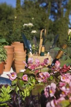 Jupiterimages/Pixland/Getty Images Wholesale florists sometimes grow their own flowers and plants.