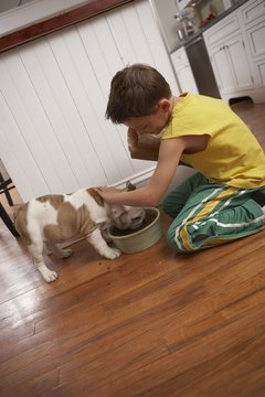 Chris Amaral/Photodisc/Getty Images Bulldogs can be loyal family pets.