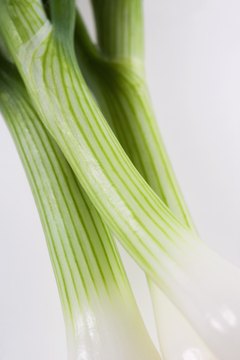 Polka Dot Images/Polka Dot/Getty Images Green onions provide vitamin C, potassium and natural antioxidants.