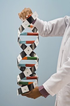 Thinkstock Images/Comstock/Getty Images Clinical geneticists treat patients with genetic illnesses.