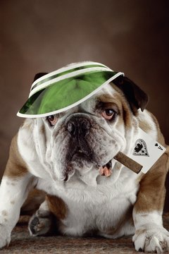 Jupiterimages/liquidlibrary/Getty Images Play your cards right or all bets are off.
