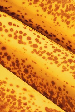 Comstock/Comstock/Getty Images Brown-speckled bananas are an excellent base for healthy dog treats.
