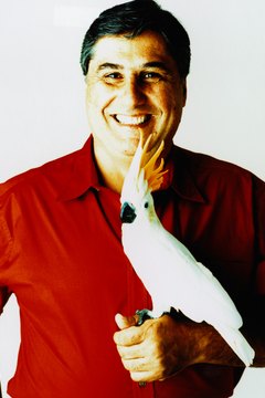 Ryan McVay/Photodisc/Getty Images Cockatoos are affectionate. Cuddling and play are among your responsibilities.