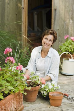 Comstock Images/Comstock/Getty Images Turn your green thumb into a career in retail.