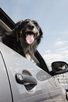 Jupiterimages/Polka Dot/Getty Images Car rides are an excellent way to combat boredom.