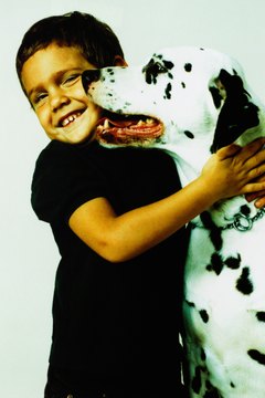Ryan McVay/Photodisc/Getty Images Dalmatians make great family pets, and many also do well with cats and other household pets.