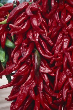 Chilis were a common feature in Aztec cuisine.