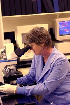 Jupiterimages/Comstock/Getty Images Crime scene investigators work for government agencies.