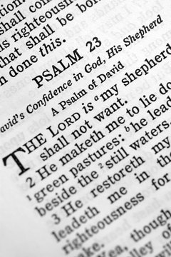 One way to see the difference between the NLT and NIV is to read the same passage in each of the translations.