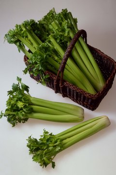 Soluble Fiber in Celery - Woman