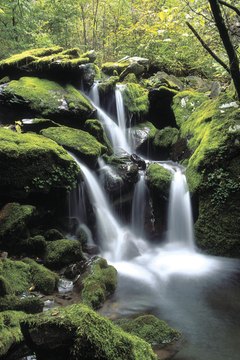 Water cascading over mossy rocks in woods