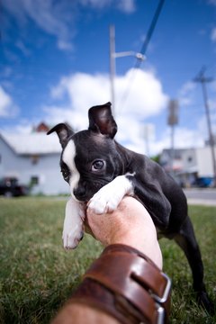 Jupiterimages/Photos.com/Getty Images End the bad chewing behavior.