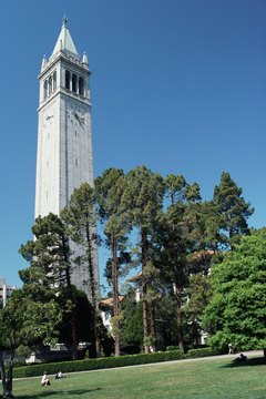 The Haas School takes a wide view of student preparation.