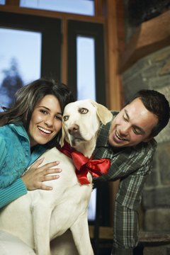 Brand X Pictures/Brand X Pictures/Getty Images A 2009 AP poll revealed 43 percent of surveyed pet owners feel their four-legged friends have their own sense of style.